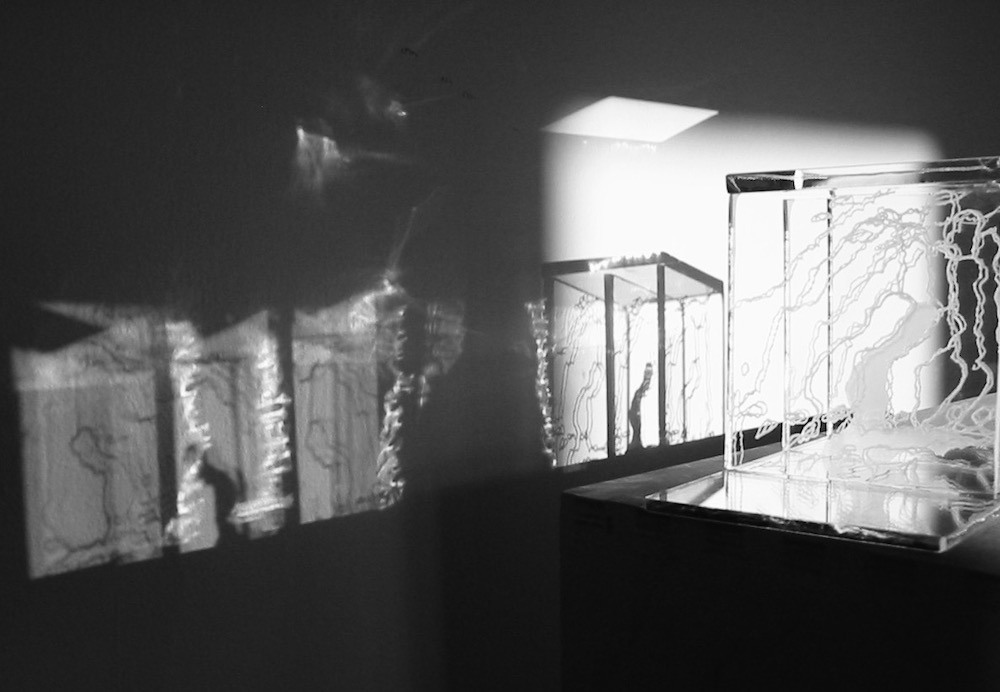 Reflection, refraction and shadow play.